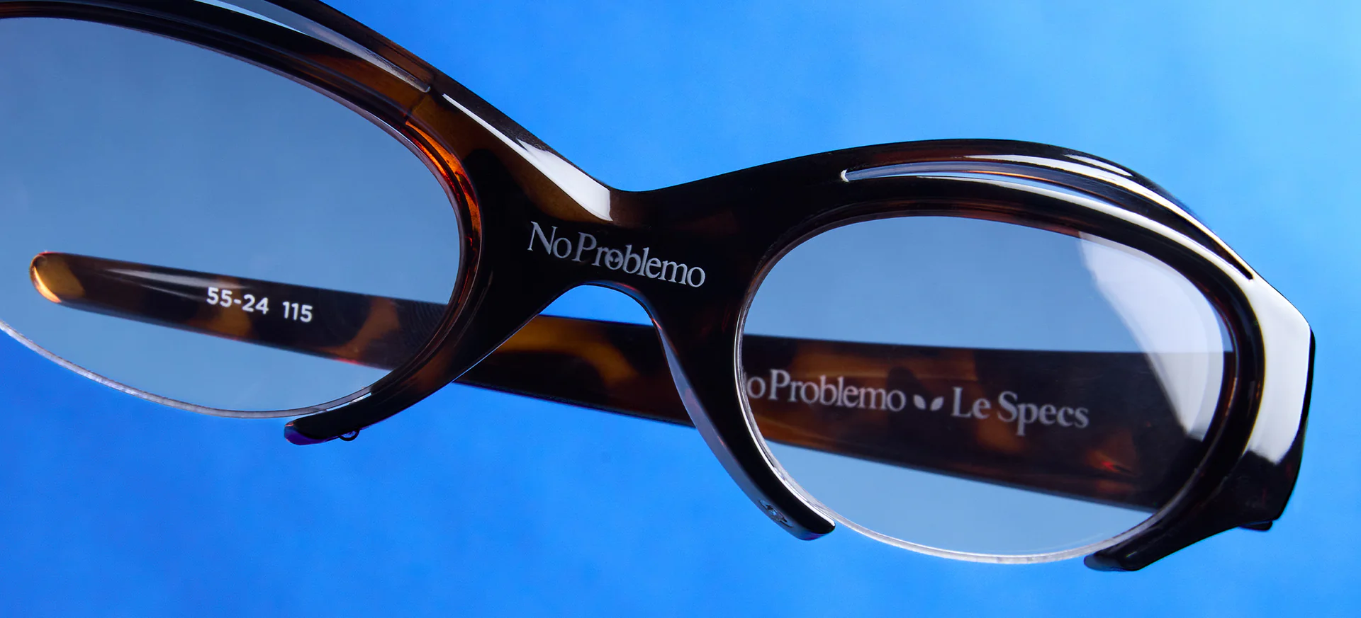 Iconic Eyewear for Every Vision